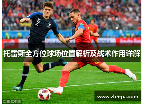 托雷斯全方位球场位置解析及战术作用详解