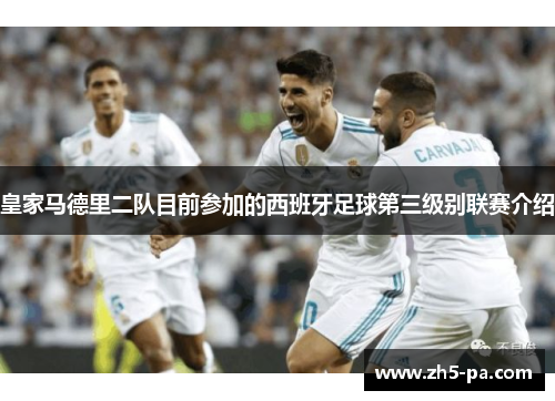 皇家马德里二队目前参加的西班牙足球第三级别联赛介绍