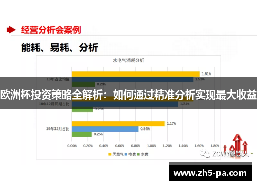 欧洲杯投资策略全解析:如何通过精准分析实现最大收益 欧洲杯投资策略全解析:如何通过精准分析实现最大收益