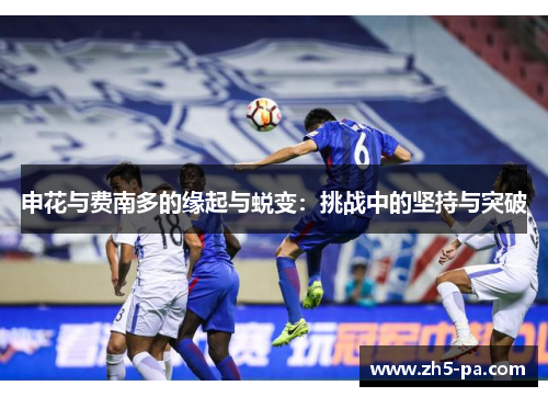 申花与费南多的缘起与蜕变：挑战中的坚持与突破