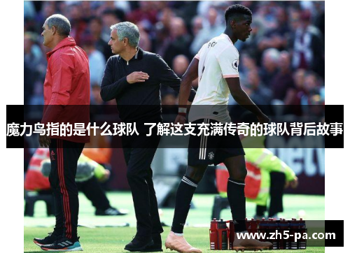 魔力鸟指的是什么球队 了解这支充满传奇的球队背后故事