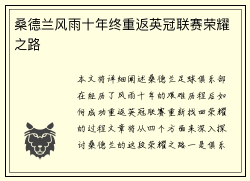 桑德兰风雨十年终重返英冠联赛荣耀之路 桑德兰风雨十年终重返英冠联赛荣耀之路